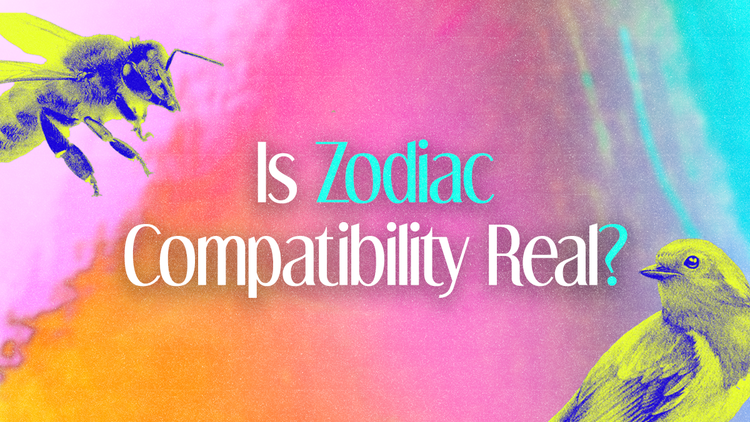 I’m scared to date women my age! Is zodiac compatibility real? My partner isn’t into astrology like I am, are we a bad match? Astrologer Isa Nakazawa weighs in.