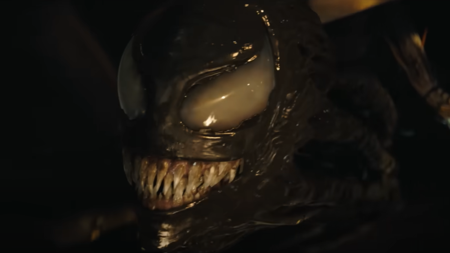 "Venom: Last Dance"