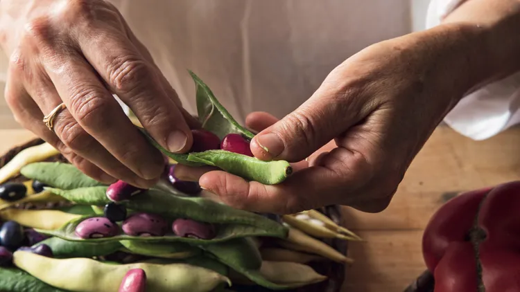 Local cooking instructor and food writer Sonoko Sakai explains the deep meaning of "Japanese in style" cuisine.