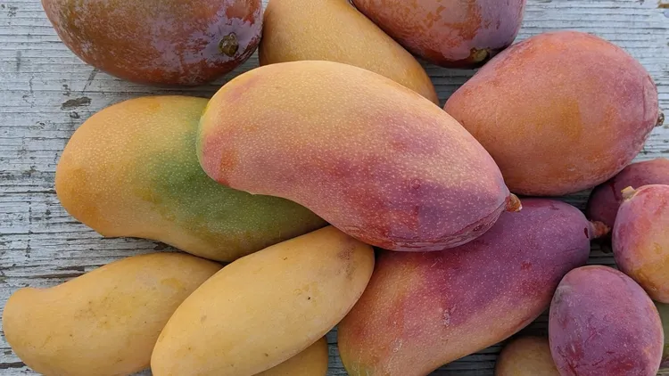 Peaches get a workout at two LA restaurants