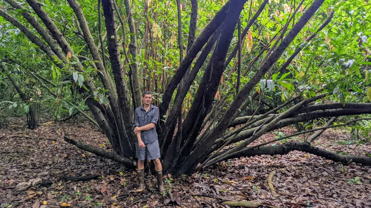 Rowan Jacobsen travels deep into the Bolivian Amazon to uncover the chocolate's origins.