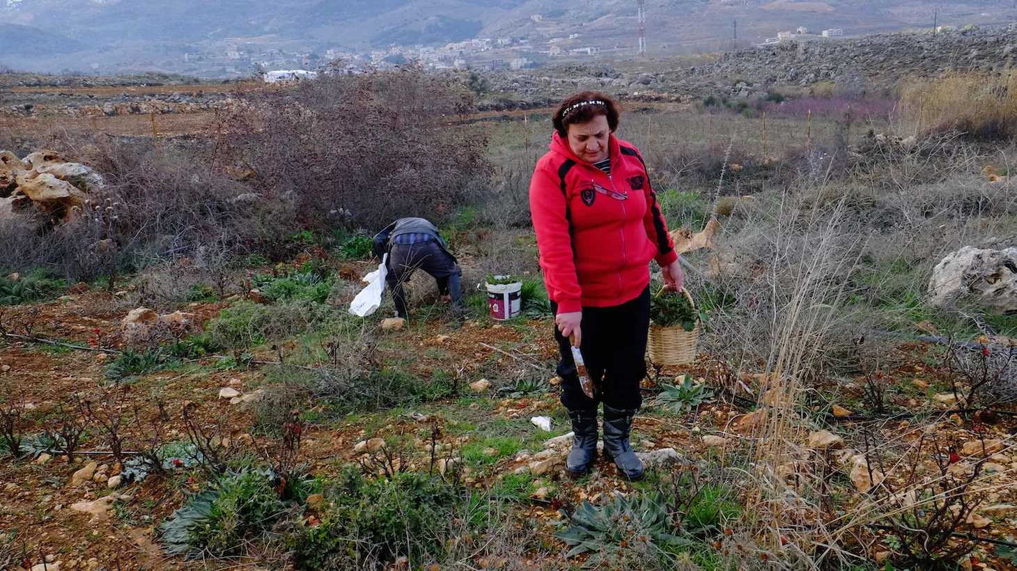 In small villages along the Lebanon Mountain Trail, foraged edibles are an integral part of peoples' diets.