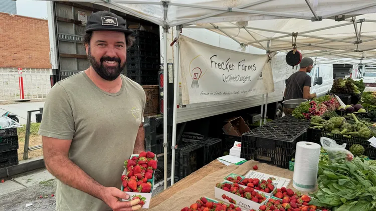 Meet Alex Frecker, the newest face at the farmers market