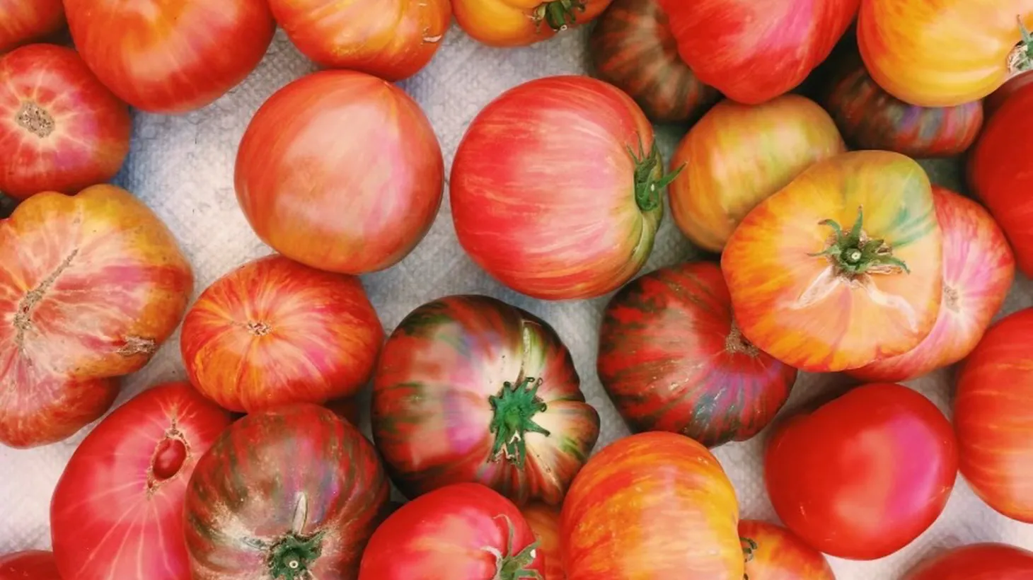 Beefsteak, Benevento, and MaiTai tomatoes are ideal for slicing and serving with salt, lemon juice, and red wine vinegar.