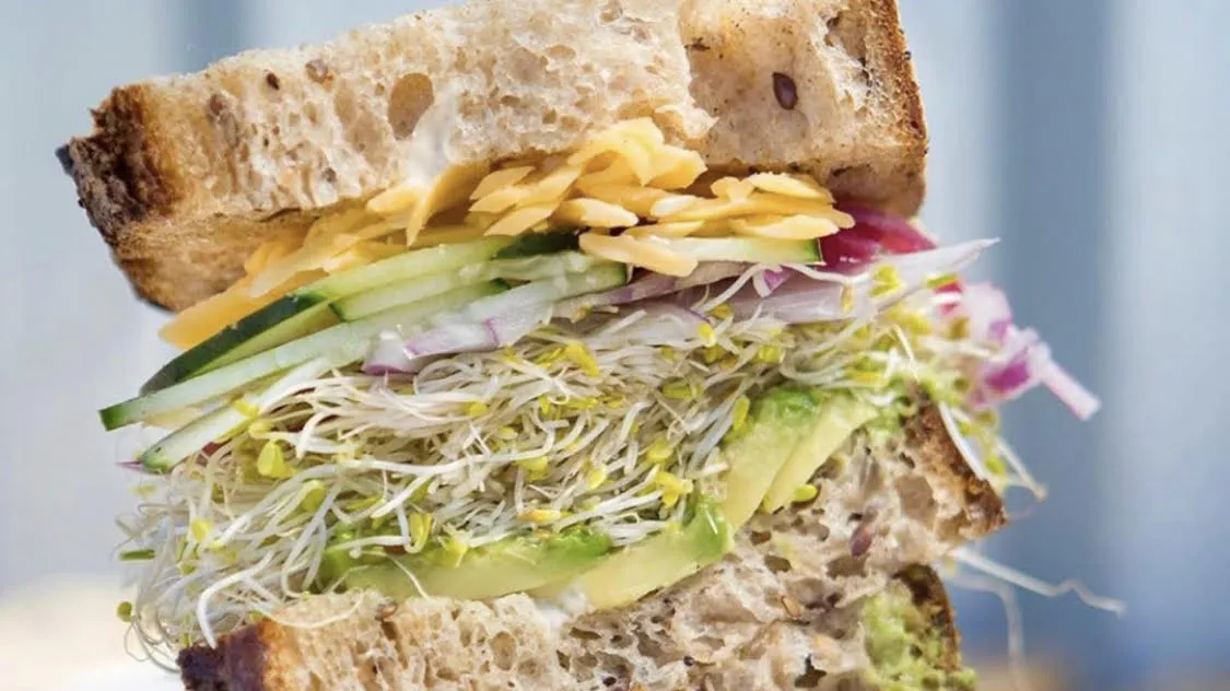 The “Ira Glass” sandwich at Wax Paper comes on seeded wheat bread with avocado and sprouts.