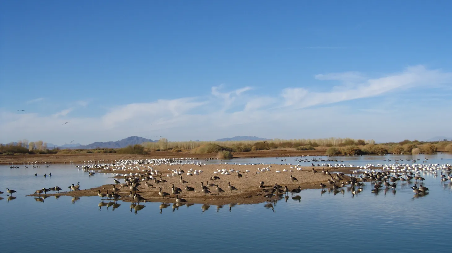 In the tiny town of Cibola, Arizona, water is more valuable than oil.