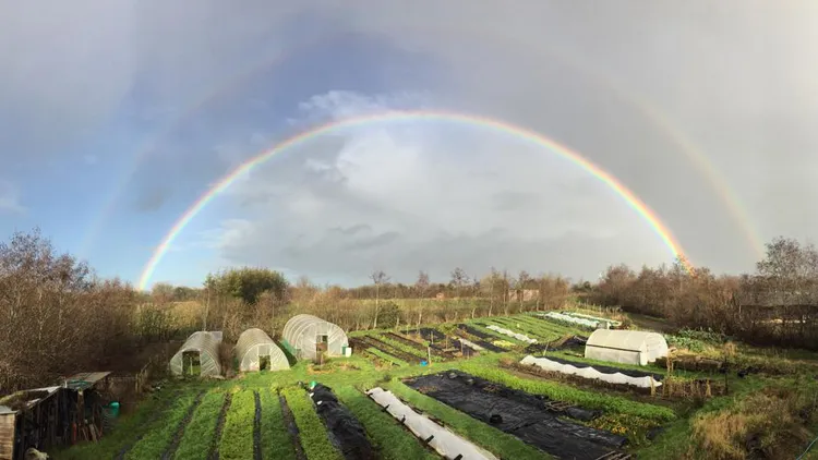 Once a social scientist and now a farmer, Chris Smaje offers a defense of small-scale farming and a robust critique of industrialized food production.