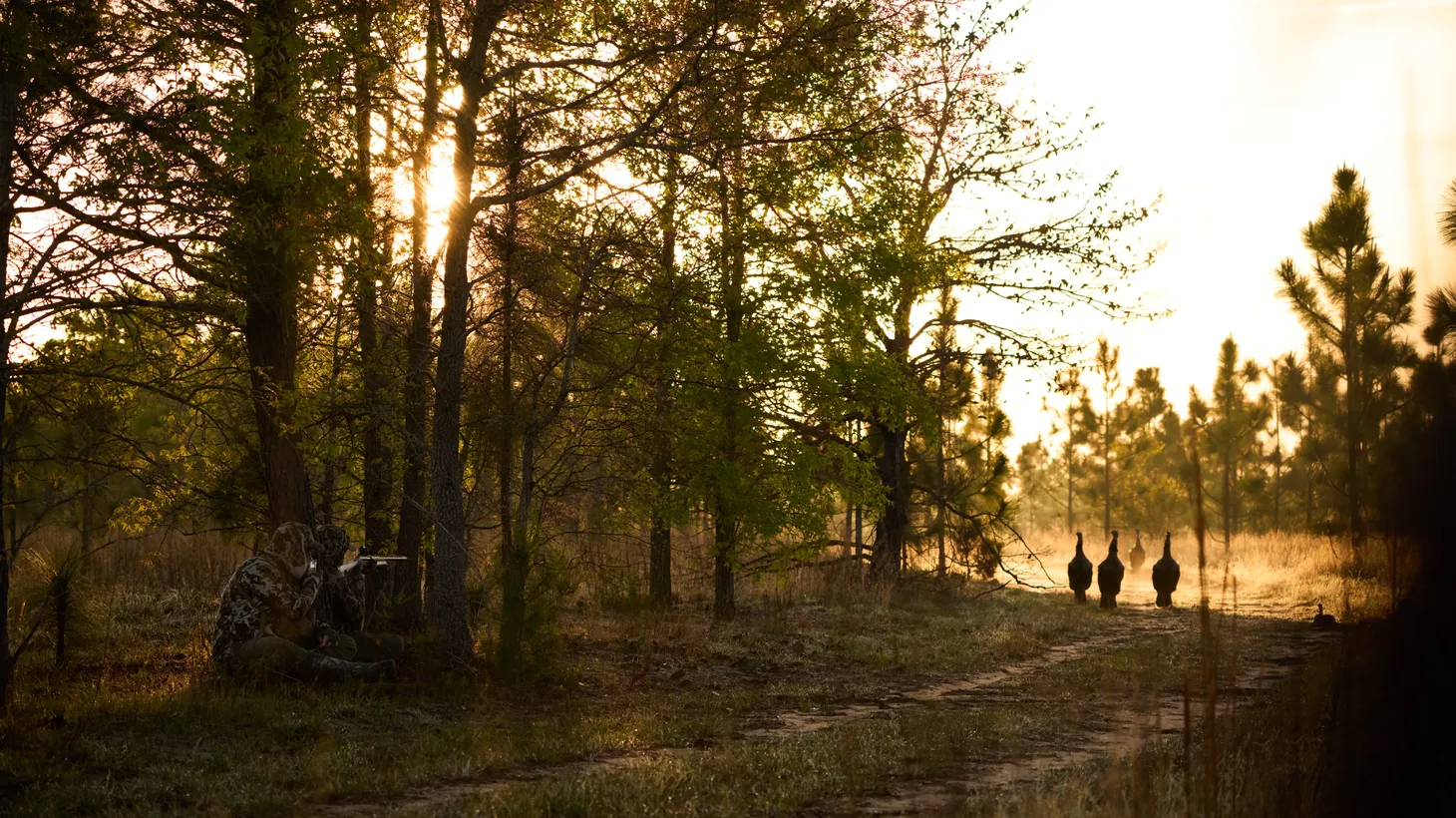 Jesse Griffiths hunts wild turkeys in Georgia.