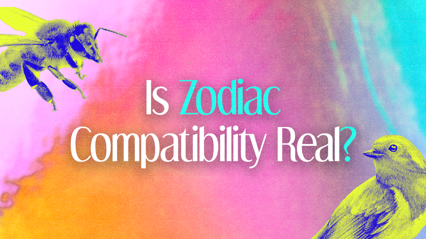 I’m scared to date women my age! Is zodiac compatibility real? My partner isn’t into astrology like I am, are we a bad match? Astrologer Isa Nakazawa weighs in.