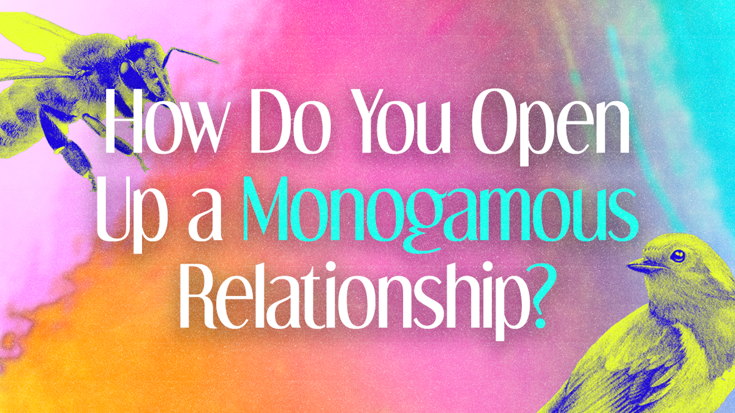 How do you open up a monogamous relationship? What to do when your spouse comes out of the closet? How do you date in your 40s? Ashley Ray, comedian and host of Earwolf’s TV, I Say, joins Myisha to talk dating while poly, supporting your partner, and how to not be poly-shady.