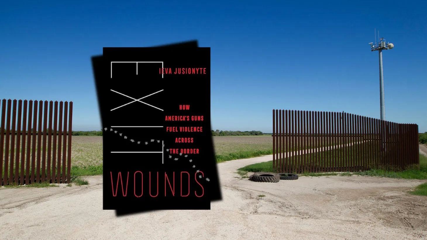 Ieva Jusionyte's new book "Exit Wounds: How America’s Guns Fuel Violence Across the Border."