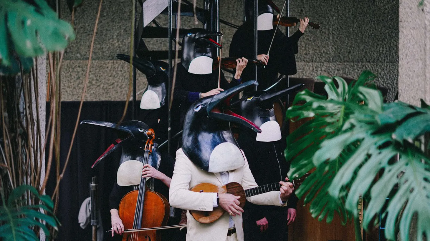 You may have heard the avant-garde music of The Penguin Cafe Orchestra lead by English guitarist Simon Jeffes back in the 80’s. Their sound lives on via Penguin Cafe thanks to Jeffes’ son, Arthur.