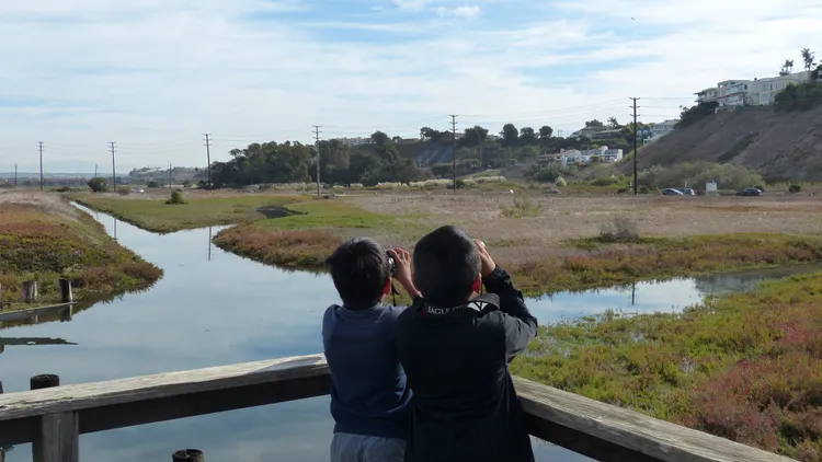 Field trips to the Ballona Wetlands bring environmental education to kids who might not spend time in nature.