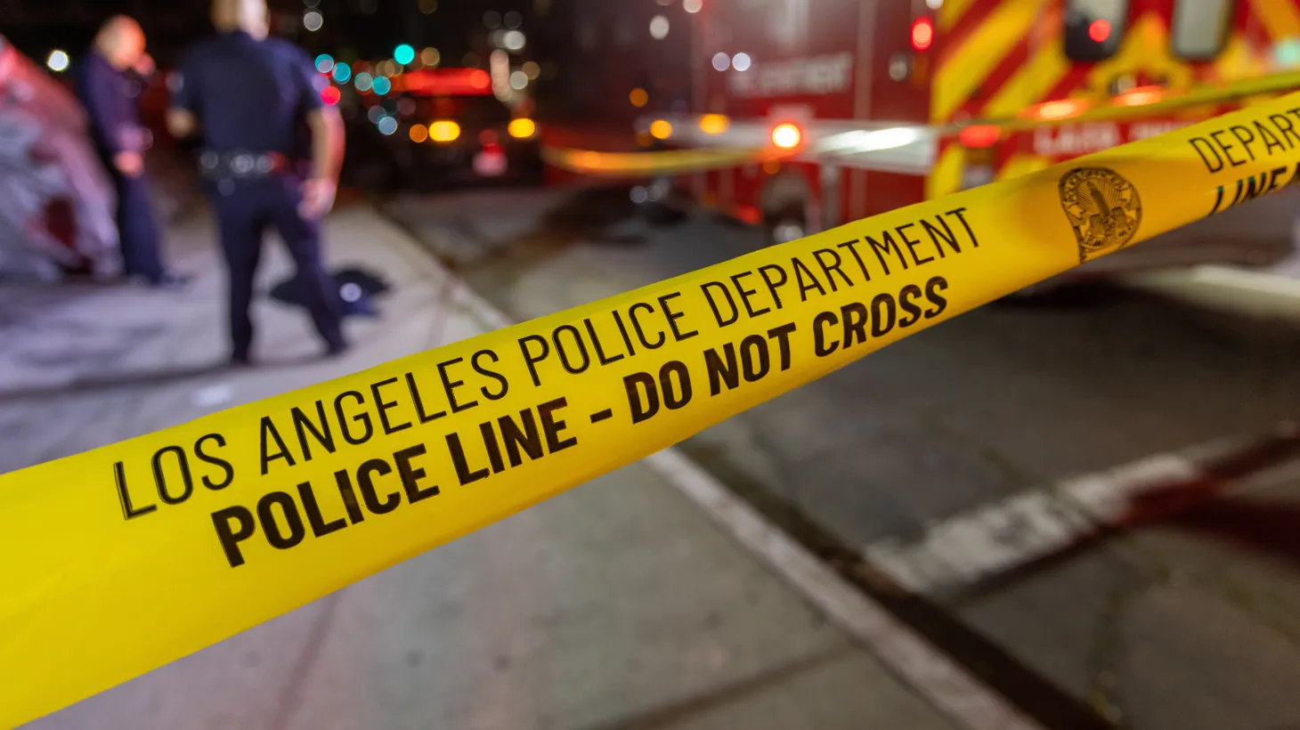 Homicides have dropped by 17% since 2022, according to the LAPD. But property crimes, like high-profile smash-and-grab retail thefts, are up.