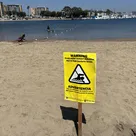 LA’s dirty beaches: Surfers are ‘stoked,’ families are cautious