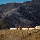 Wildlands that burned may find that nature heals itself