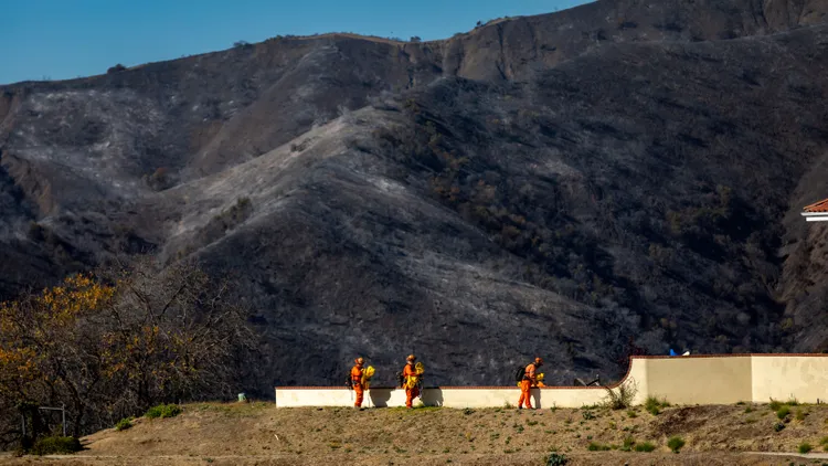 Wildlands that burned may find that nature heals itself