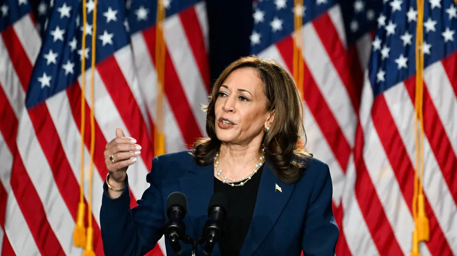 U.S. Vice President Kamala Harris delivers remarks during a campaign event at West Allis Central High School, in West Allis, Wisconsin, U.S., July 23, 2024.