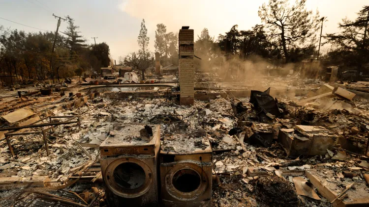 ‘Like an atomic bomb’: Community leader, restaurateur on fire devastation